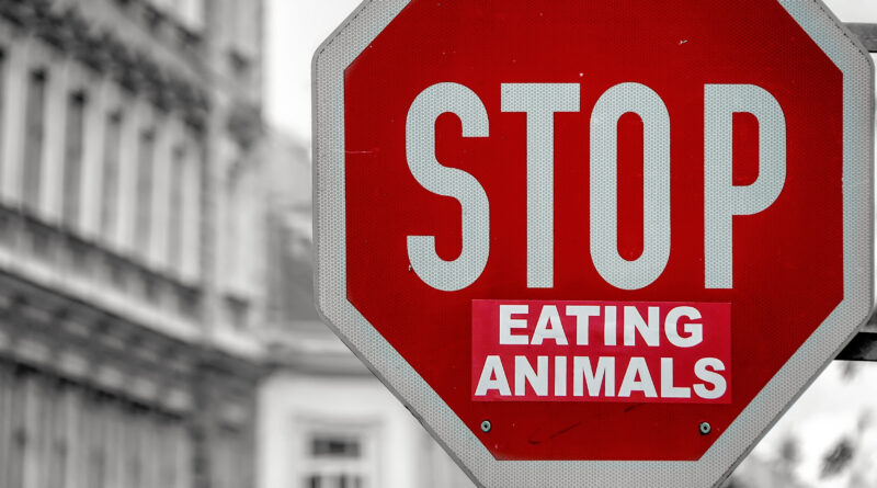 World Vegan Day: Stop Eating Animals