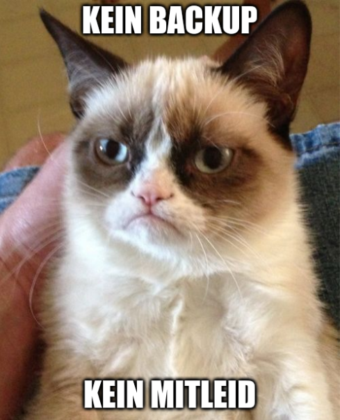 Grumpy Cat sagt, wie es ist: Kein Backup, kein Mitleid!