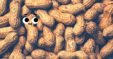 Eine Erdnuss mit Wackelaugen und aufgemaltem Lächeln lacht aus einem Haufen Erdnüsse heraus
